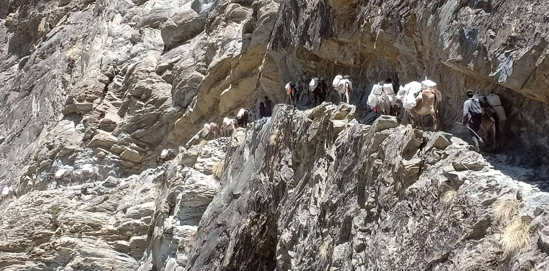 It takes 10 days by yak caravan to reach the remote Dolpo Tibetans. There are no roads, railways or air services with the ability to reach them.